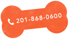 phone-number https://strutpup.com/wp-content/uploads/2020/03/phone-number.png